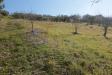 Terreno Agricolo in vendita a Tortoreto in via valle santa maria - 04, Foto 38