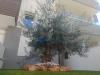 Appartamento in vendita a Tortoreto in via torino 15 - 02, Foto 2