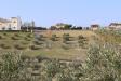 Terreno Agricolo in vendita a Tortoreto in via settecolli - 10, Foto 10