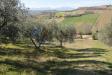 Terreno Agricolo in vendita a Tortoreto in via valle santa maria - 08, Foto 42