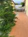 Casa indipendente in vendita con giardino a Massa - marina di - 04, ma4.jpg