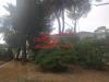 Appartamento in vendita con giardino a Montecatini-Terme - nord - 04