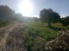 Terreno Agricolo in vendita a Monteprandone in contrada colle sant angelo - 07, Foto 7