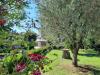 Villa in vendita con giardino a Vecchiano - 03