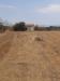 Terreno Agricolo in vendita a Assemini - 02, Foto 2