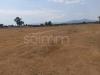 Terreno Agricolo in vendita a Assemini - 04, Foto 4