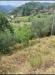Terreno Agricolo in vendita a Albisola Superiore - 03, Foto 3