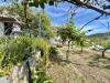 Terreno Agricolo in vendita a Tovo San Giacomo in via pian del sasso - 08, Foto 8