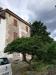 Casa indipendente in vendita a Lucca - san lorenzo a vaccoli - 02