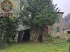 Rustico in vendita da ristrutturare a Capannori in via della pieve - 07, Foto 7