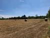 Terreno Agricolo in vendita a Legnano in vicinale mazzafame - 04, Foto 4