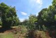 Terreno Agricolo in vendita a Legnano in vicinale mazzafame - 09, Foto 9