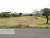 Terreno Agricolo in vendita a Velletri in via vecchia napoli - 02, Foto 2