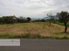 Terreno Agricolo in vendita a Velletri in via vecchia napoli - 03, Foto 3