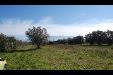 Terreno Agricolo in vendita a Velletri in via vecchia napoli - 06, Foto 6