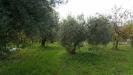 Terreno Agricolo in vendita a Cisterna di Latina in via delle ginestre - 03, Foto 3