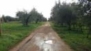 Terreno Agricolo in vendita a Cisterna di Latina in via delle ginestre - 04, Foto 4