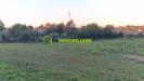 Terreno Agricolo in vendita a Velletri in via delle vascucce - 10, Foto 10