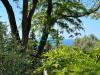 Villa in vendita con giardino a Imperia in via serrati - 08, Foto 8