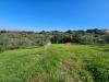 Terreno Agricolo in vendita a Viterbo in strada fossaccio - 03, Foto 3