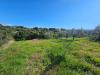 Terreno Agricolo in vendita a Viterbo in strada fossaccio - 04, Foto 4
