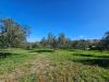 Terreno Agricolo in vendita a Viterbo in strada fossaccio - 09, Foto 9