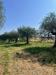 Terreno Agricolo in vendita a Vitorchiano in strada bandita - 04, Foto 4