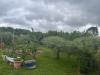 Terreno Agricolo in vendita a Caprarola in localit cucciale - 10, Foto 10