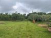 Terreno Agricolo in vendita a Caprarola in localit cucciale - 06, Foto 6