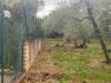 Terreno Agricolo in vendita a Caprarola in localit cucciale - 07, Foto 7
