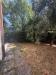 Appartamento in affitto con giardino a Viterbo in via francesco baracca - 05, Foto 5