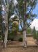 Rustico in vendita a Pienza in localit podere la torre - 05, Foto 5