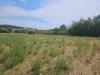 Terreno Agricolo in vendita a Viterbo in strada teverina - 06, Foto 6