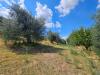 Terreno Agricolo in vendita a Viterbo in strada teverina - 10, Foto 10
