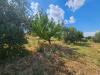Terreno Agricolo in vendita a Viterbo in strada teverina - 03, Foto 3