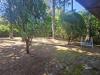 Villa in vendita con giardino a Viterbo in strada cimina -localit poggio nibbio - 06, Foto 6