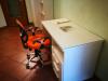 Appartamento in affitto a Torino in via genova 122 - 04, Foto 4