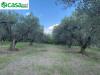 Terreno Agricolo in vendita a Marcellina in via dei caolini snc - 03, Foto 3