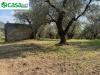 Terreno Agricolo in vendita a Marcellina in via dei caolini snc - 05, Foto 5