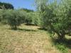 Terreno in vendita a Silvi in via san stefano 0 - santo stefano - san silvestro - 02