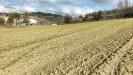 Terreno Agricolo in vendita a Collecorvino in contrada fornaci - 10, Foto 10