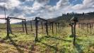 Terreno Agricolo in vendita a Collecorvino in contrada fornaci - 02, Foto 2