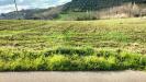 Terreno Agricolo in vendita a Collecorvino in contrada fornaci - 07, Foto 7