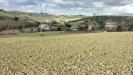 Terreno Agricolo in vendita a Collecorvino in contrada fornaci - 09, Foto 9