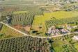Terreno Edificabile in vendita a Castelvetrano in contrada marinella trenta salme snc - 03, Foto 3