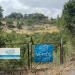 Terreno Agricolo in vendita a Petralia Sottana - 03, Foto 3