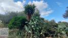 Terreno Agricolo in vendita a Palermo in via omero - 05, Foto 5