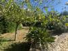 Villa in affitto a Castellammare del Golfo in contrada acquavite 1 - 10, Foto 10