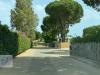 Villa in affitto a Carini in via marina longa 1 - 02, Foto 2