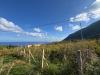 Terreno Agricolo in vendita a Malfa in strada provinciale 182 - 06, Foto 6
